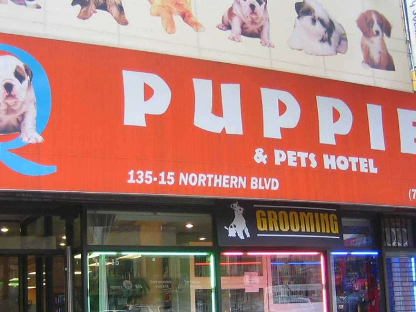 The best pet stores in NYC