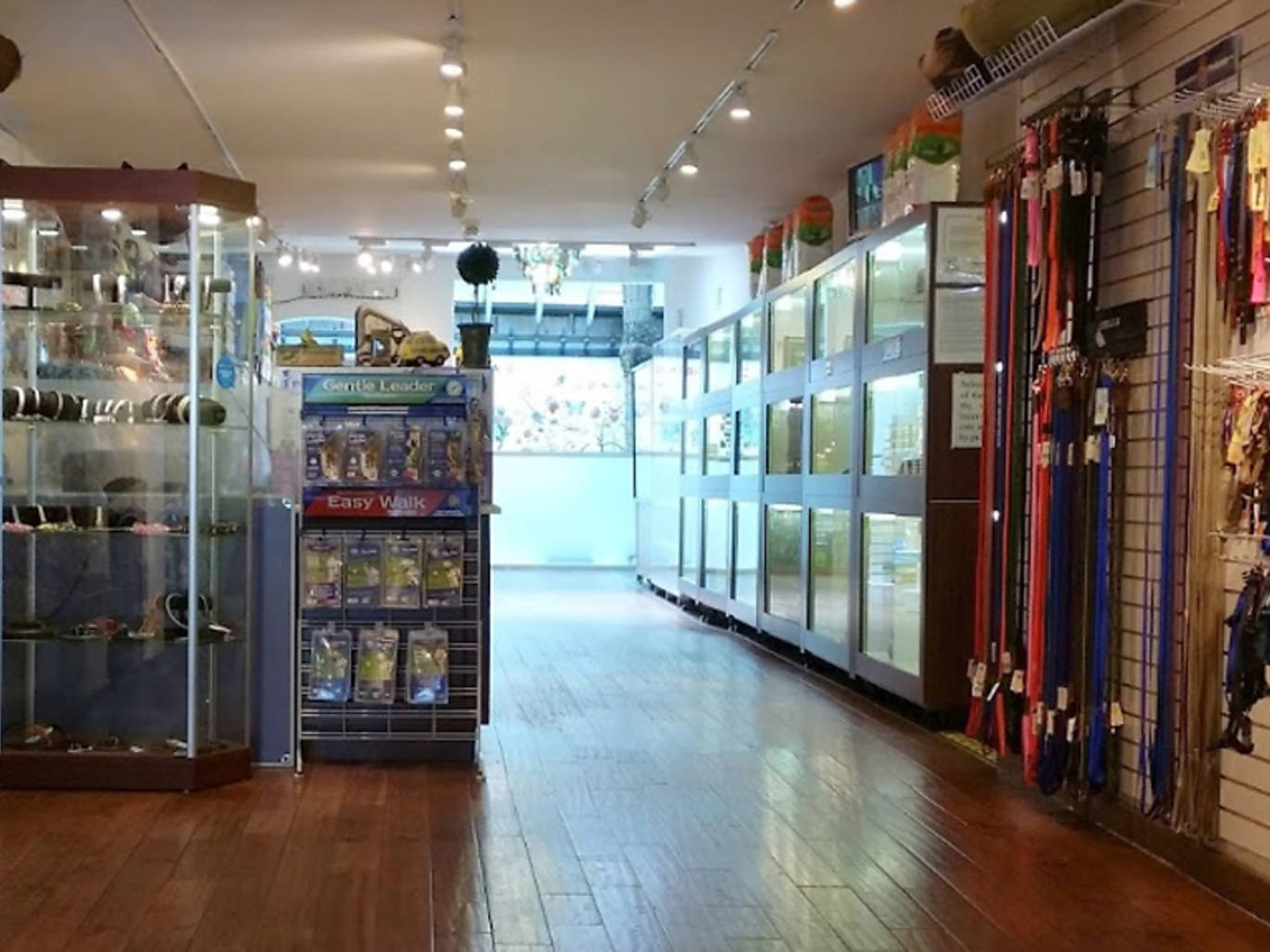 The best pet stores in NYC