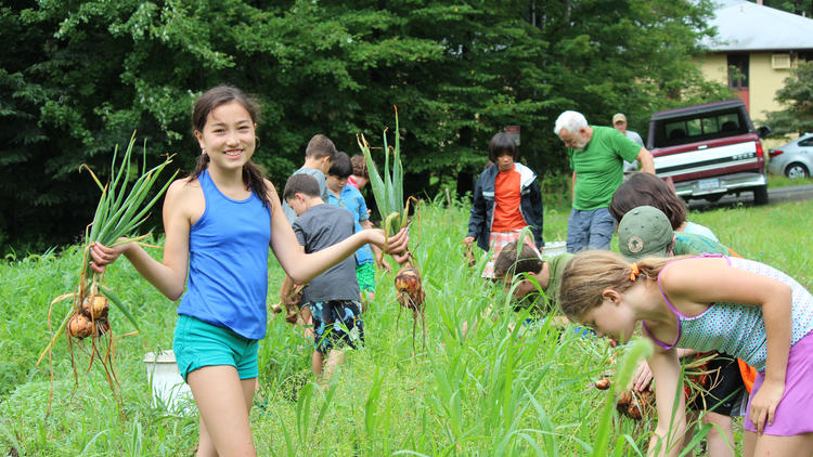 Photograph: Courtesy The Nature Place Day Camp