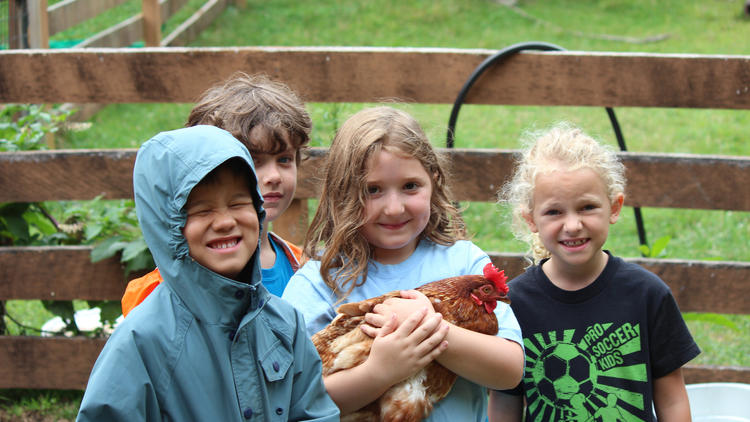 Photograph: Courtesy The Nature Place Day Camp