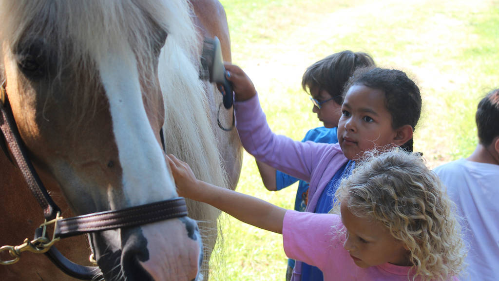 The Nature Place Day Camp | Things to do in New York Kids