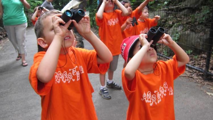 Beansprout Summer Day Camp