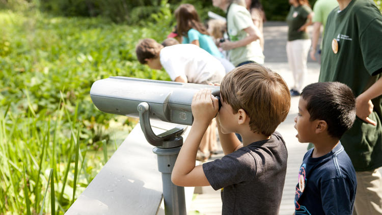 Photograph: Courtesy The New York Botanical Garden