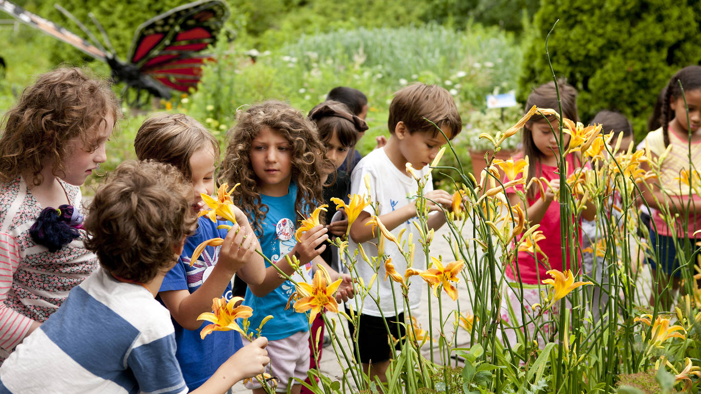 New York Botanical Garden SummerBreak Camps Things to do in The