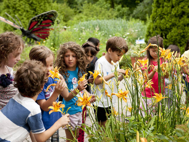 Best Kids' Gardening Spots Including Children's Gardens