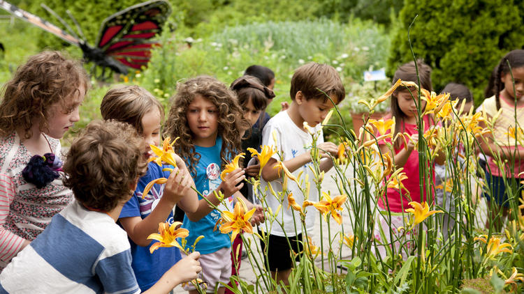 Everett Children's Adventure Garden