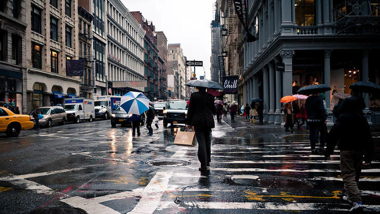 New York in the Rain  City rain, Rainy city, Rainy day pictures