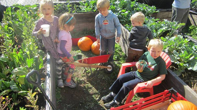 South Brooklyn Children's Garden