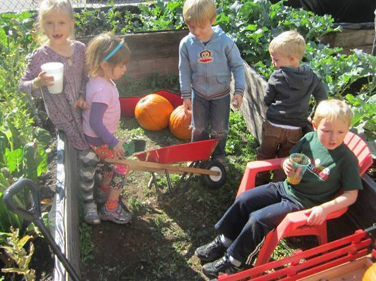 South Brooklyn Children's Garden