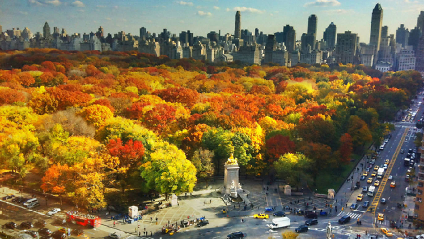 25 gorgeous photos of New York City in the fall