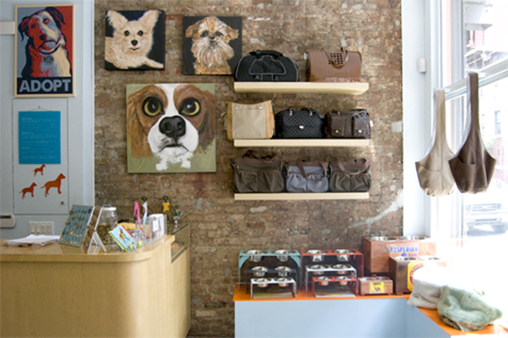 The best pet supply stores in NYC