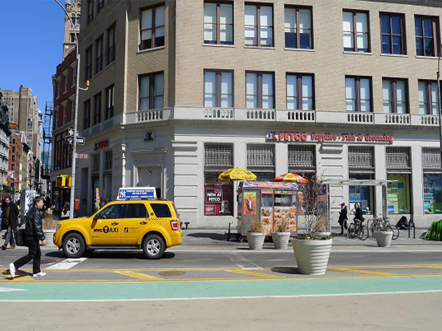 The best pet supply stores in NYC