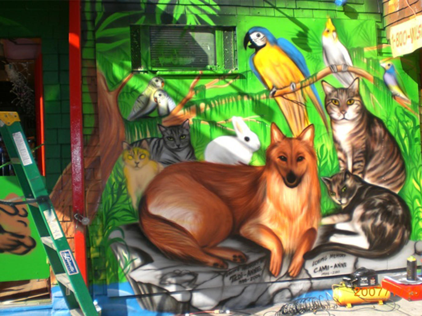 The best pet supply stores in NYC