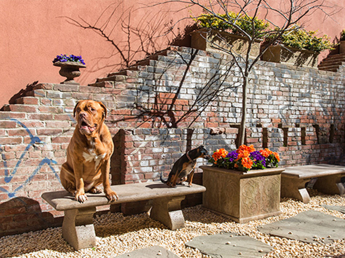 Hotels in New York for Families | Time Out New York Kids