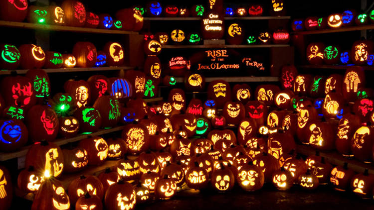 rise-jack-o-lanterns.jpg