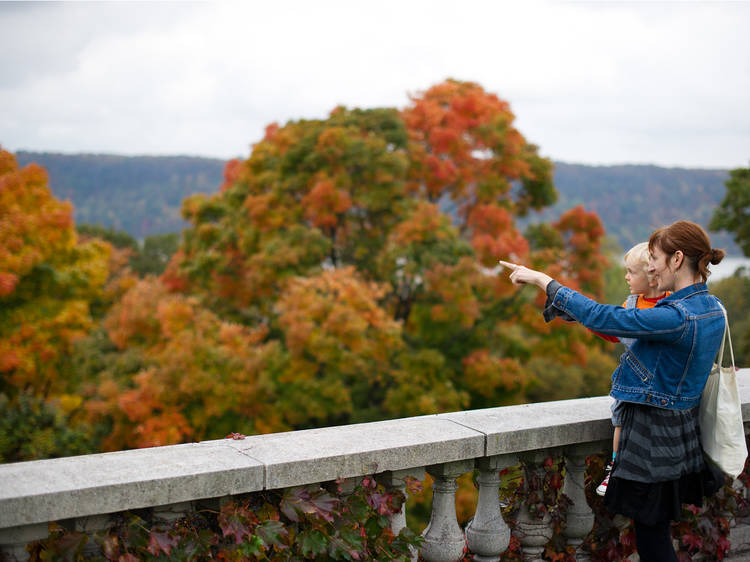 Where to see New York fall foliage with the family