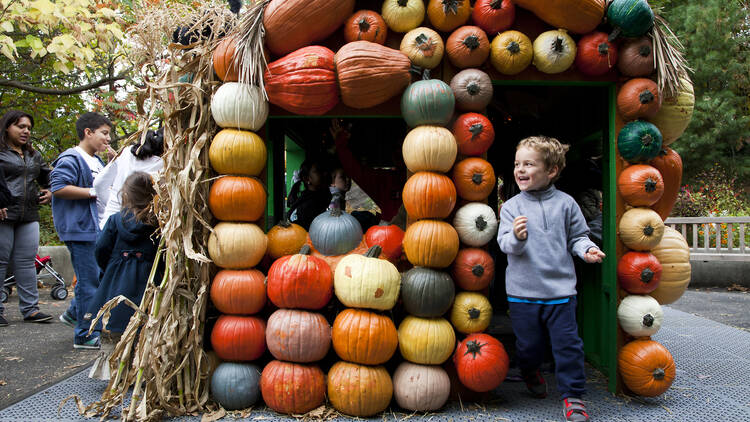 Giant Pumpkin Carving Weekend and the Haunted Pumpkin Garden at