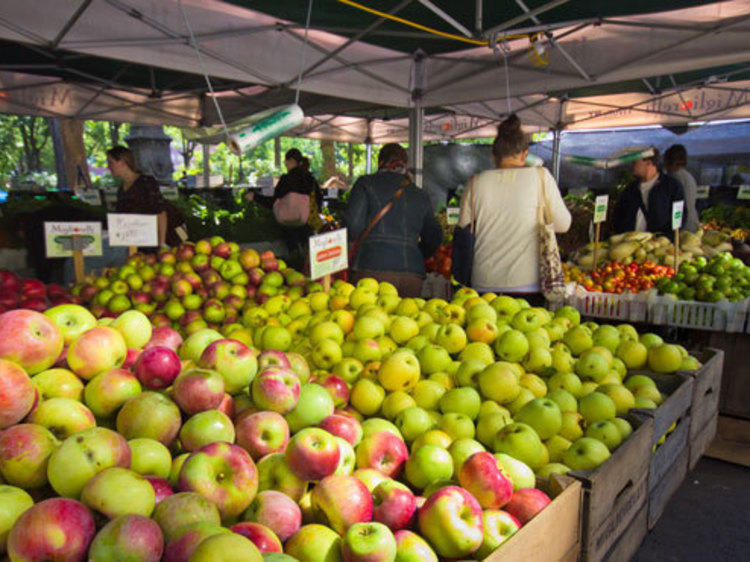 The best farmers’ markets in NYC