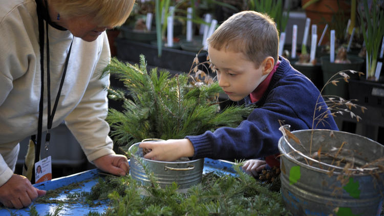 Photograph: Courtesy Brooklyn Botanic Garden