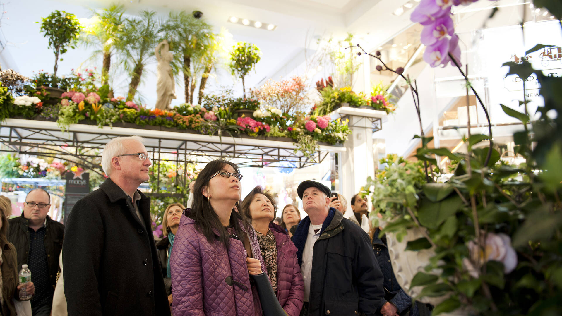 Macy's Flower Show 2014 photos (slide show)