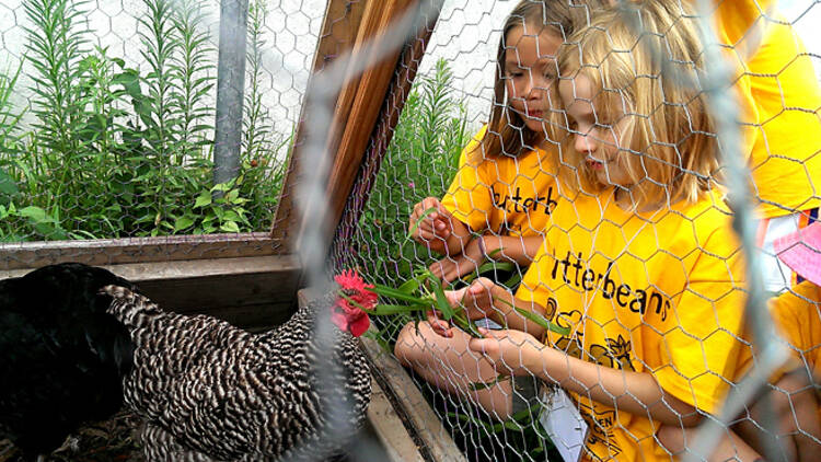 Butter Beans Food and Garden Camp