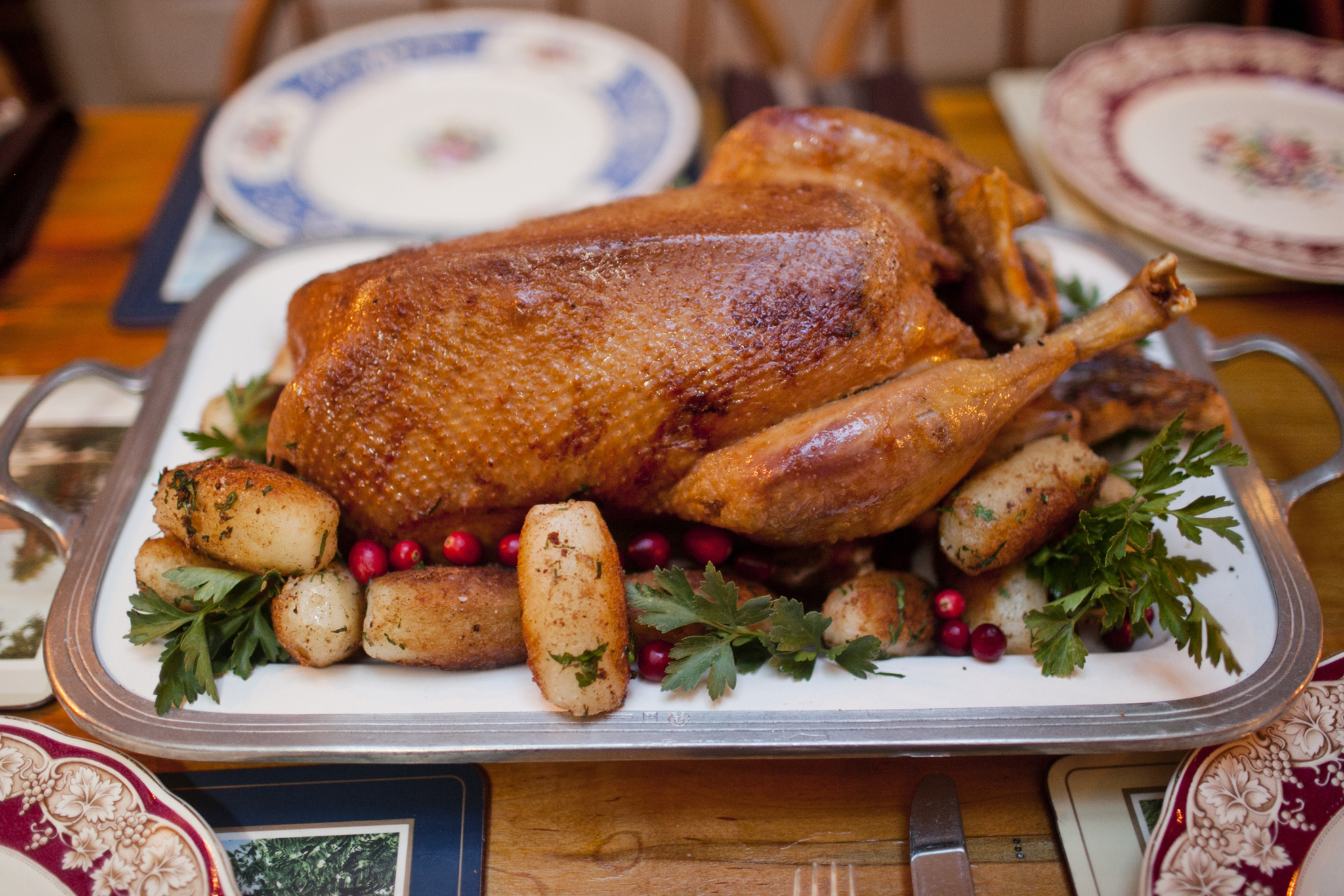 Best Thanksgiving Dinner In Nyc Photos