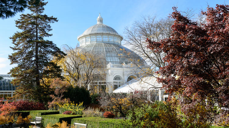 The best things to do in NYC this weekend
