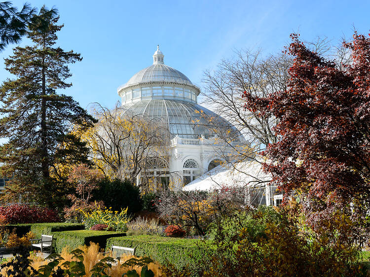 The best things to do in NYC this weekend