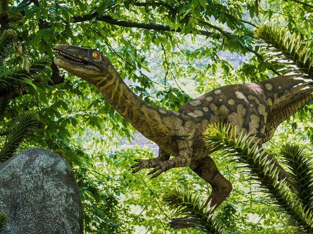 Dinosaur Safari sets up camp at the Bronx Zoo for summer 2013