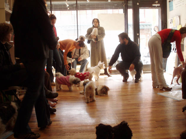 kikispetspa.jpg Kiki's Pet Spa