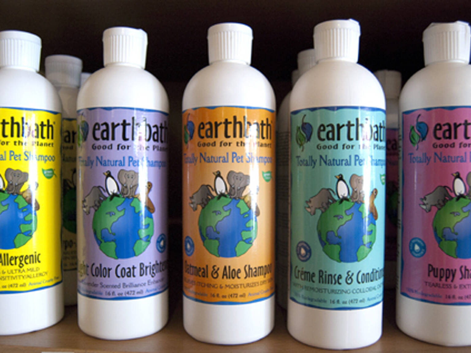 The best pet supply stores in NYC