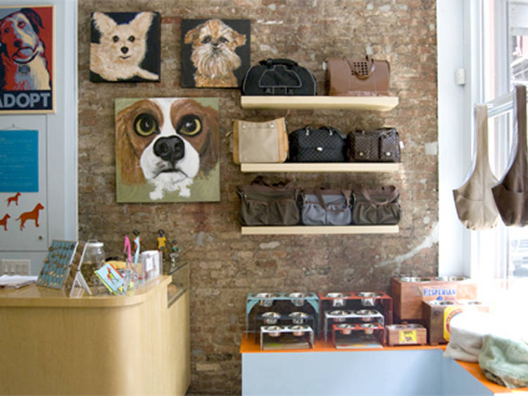 Luxury Accessories for Dogs & Cats