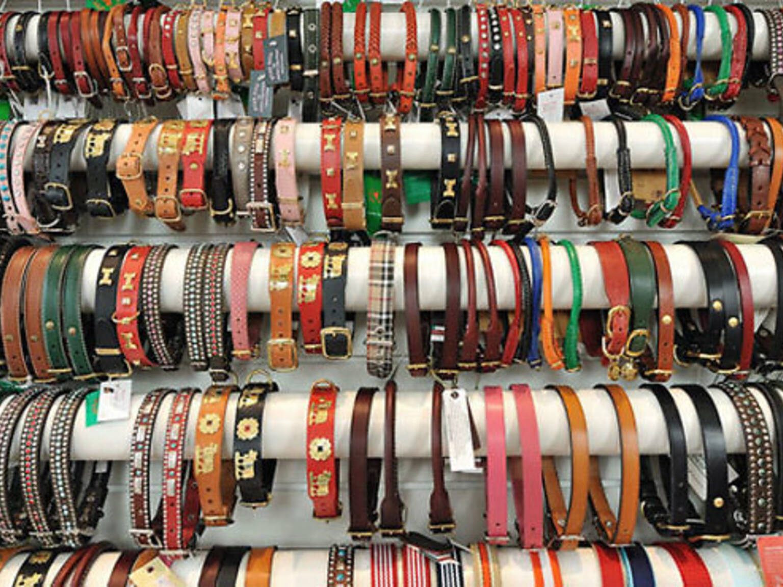 The best pet supply stores in NYC