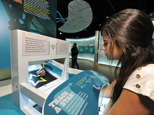 Summer Camp For Kids Museum Camps In New York City