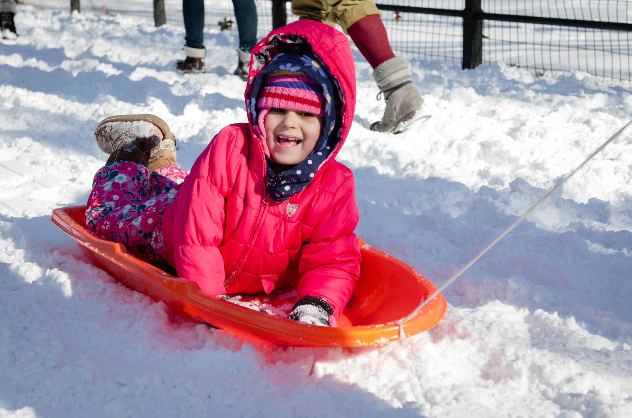 A child goes sledding in Central Park.