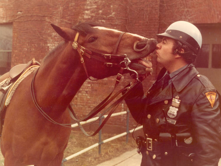 "10-Foot Cops: The NYPD's Mounted Unit"