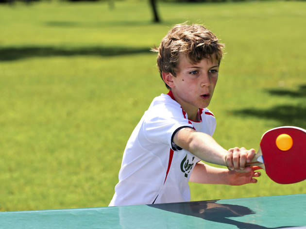 ping-pong ping-pong