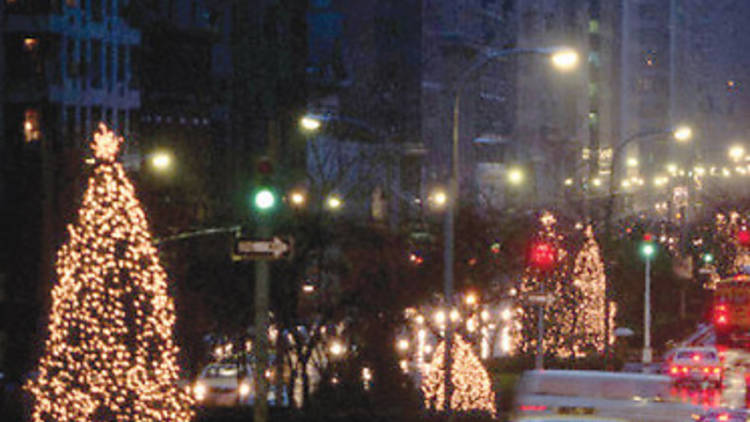 Park Avenue Memorial Trees