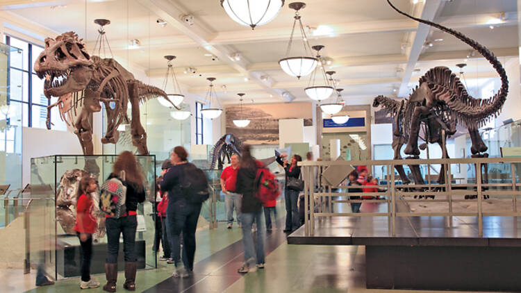 Best NYC museum for kids to visit: American Museum of Natural History