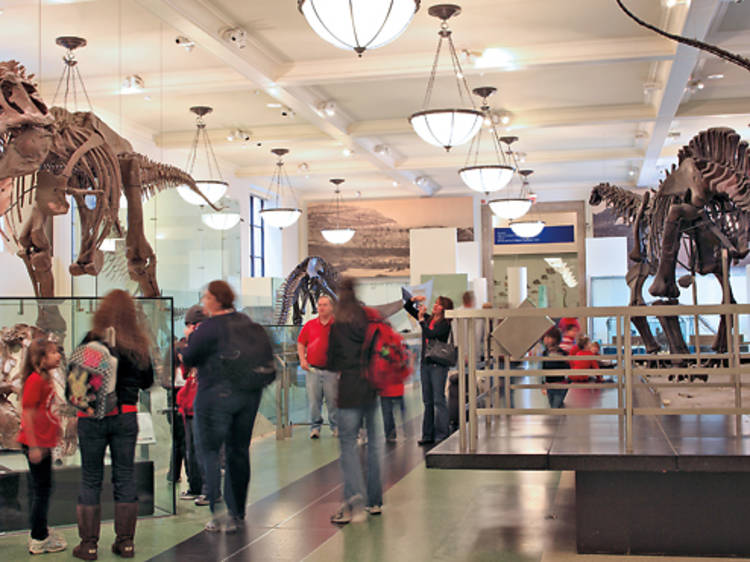 Best NYC museum for kids to visit: American Museum of Natural History