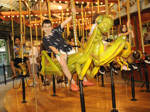 Bug Carousel Attractions In Bronx