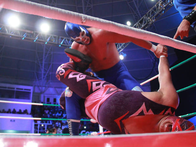 Lucha Libre Lucha Libre
