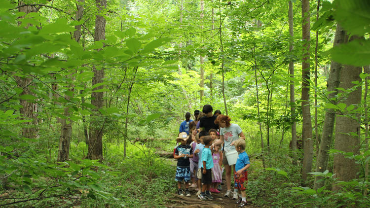 Photograph: Courtesy The Nature Place Day Camp