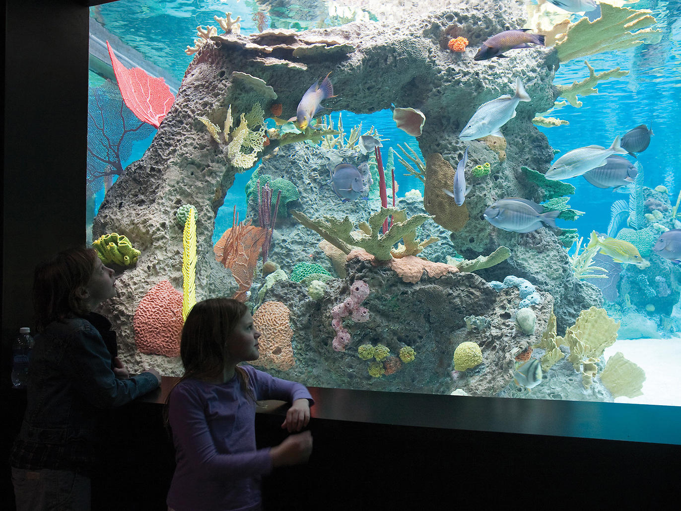 Best Zoos in New York City for Kids and Families