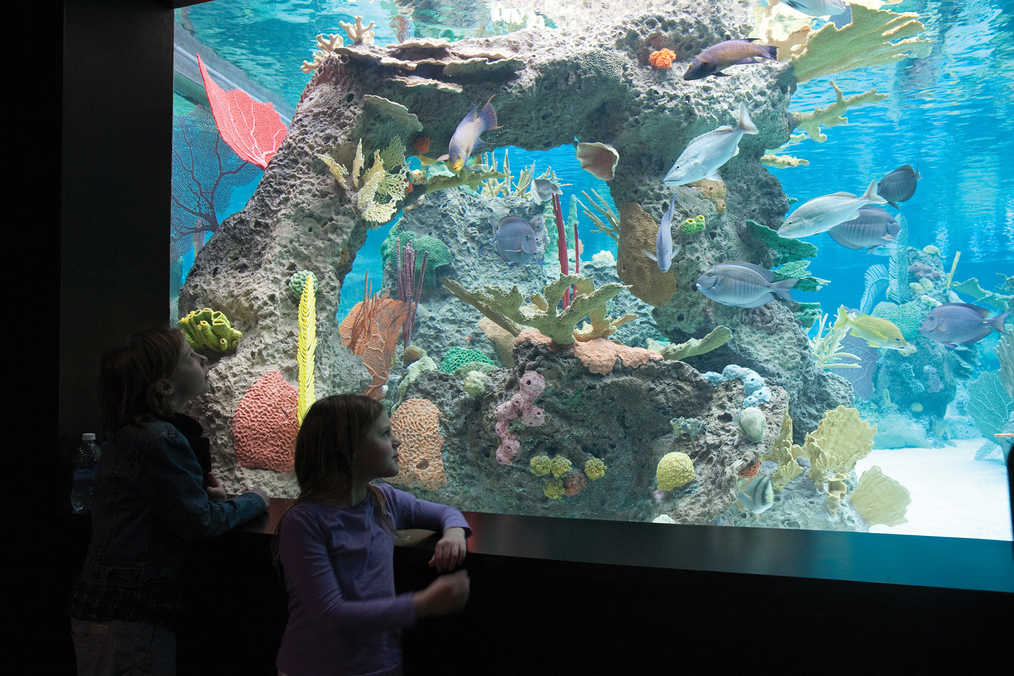 New York Aquarium - Image