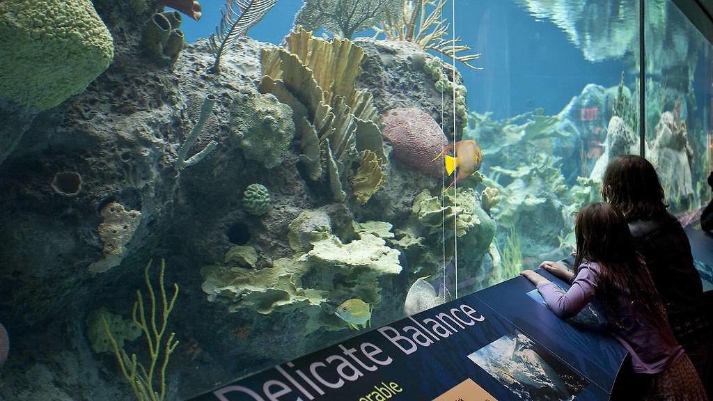 New York Aquarium Brooklyn, NY Attractions in Brooklyn, New York Kids