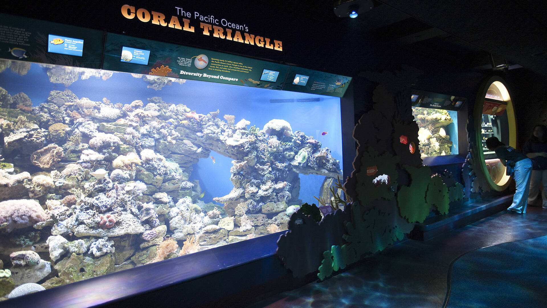 New York Aquarium Brooklyn, NY Attractions in Brooklyn, New York Kids