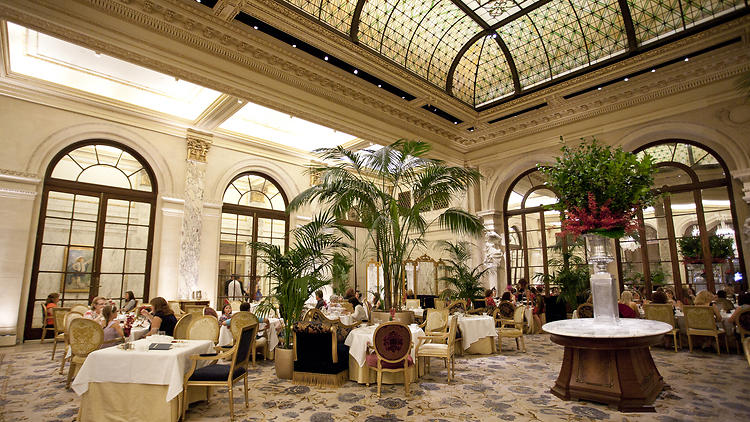 The Palm Court NYC