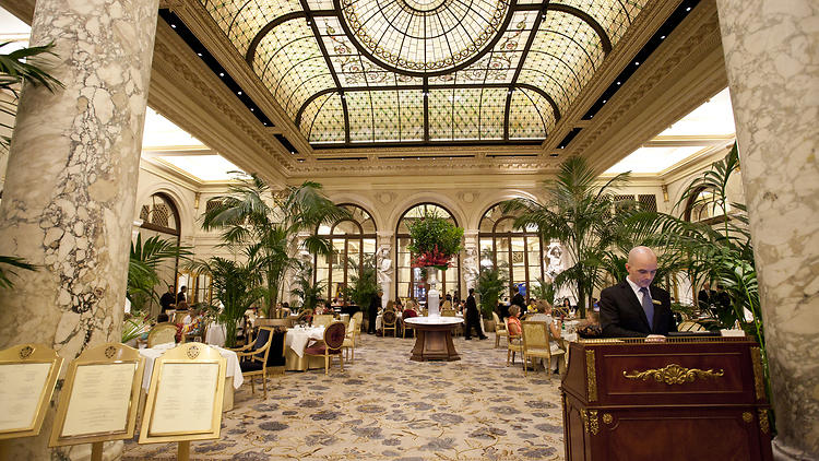 The Palm Court - The Plaza, A Fairmont Managed Hotel luxury Hotel