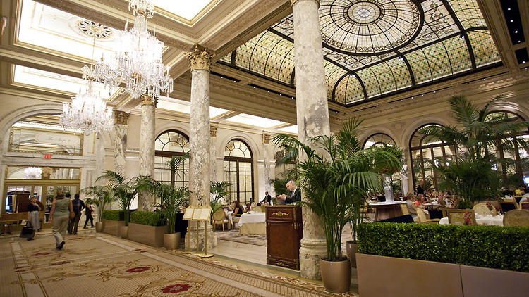 The Palm Court